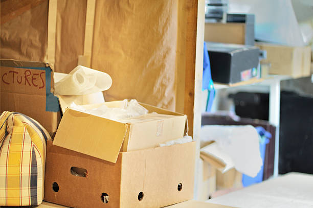 Best Construction Debris Removal  in Wauconda, IL